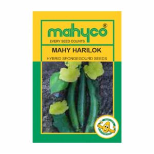 mahyco SPONGEGOURD HY. MAHY HARILOK 50GM