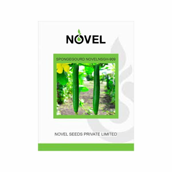 NOVEL SPONGE GOURD NSGH-909 (50 GM)