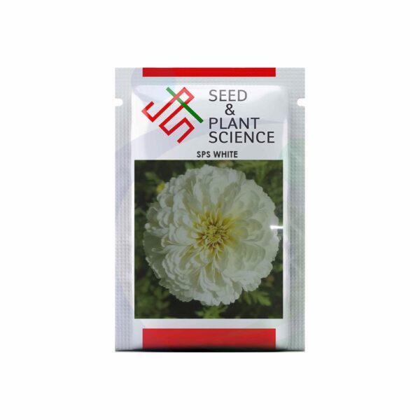 INDUS SPS WHITE BIJILEE  10GM