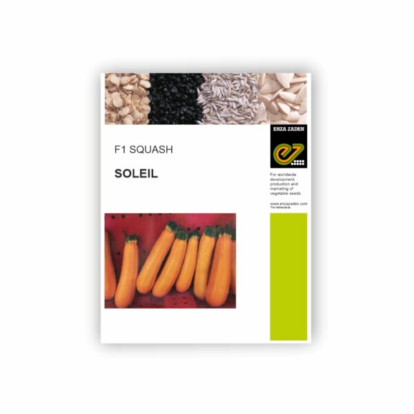 ENZA SQUASH SOLEIL (200 SEEDS)