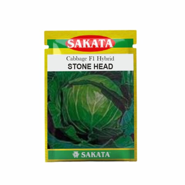 SAKATA CABBAGE F1 STONEHEAD (10 GM) (POUCH)