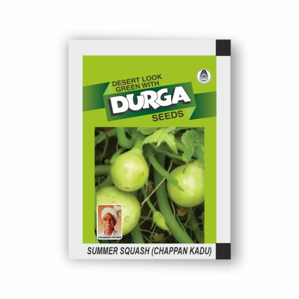 DURGA SUMMER SQUASH (CHAPPAN KADU)(KITCHEN GARDEN PACKET) (Minimum 10 Packets)