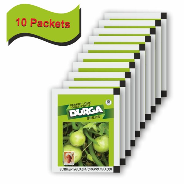 DURGA SUMMER SQUASH (CHAPPAN KADU)(100 GM)(10 PACKETS) - Image 2