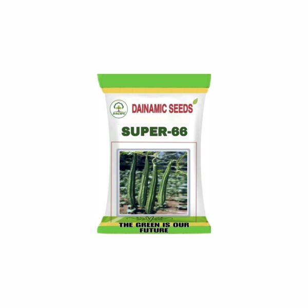 DAINAMIC RIDGE GOURD SUPER-66 (50 gm)