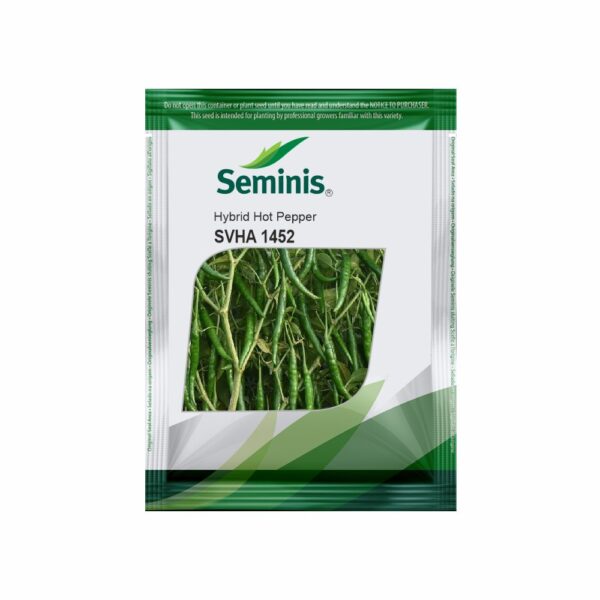 SEMINIS CHILLI 1452 (10 GM)