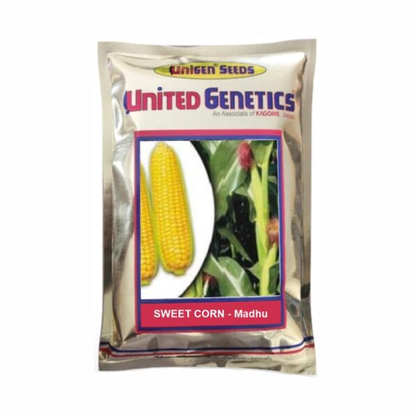 UNITED GENETICS SWEET CORN UGI MADHU (100 GM)