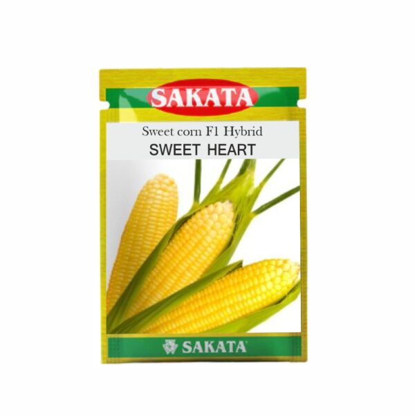 SAKATA SWEET CORN F1 SWEET HEART (10000 SEEDS) (POUCH)