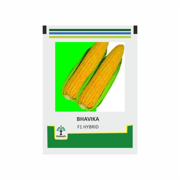 KALASH SWEETCORN BHAVIKA (1 KG)