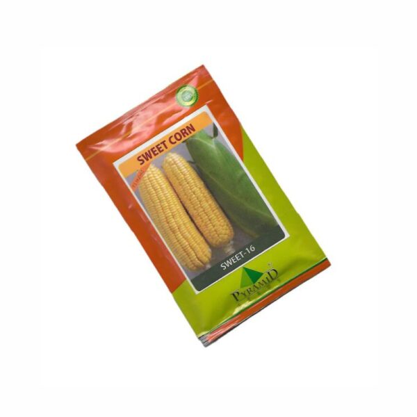 NAMDEO SWEET CORN SWEET-16 (1 KG)