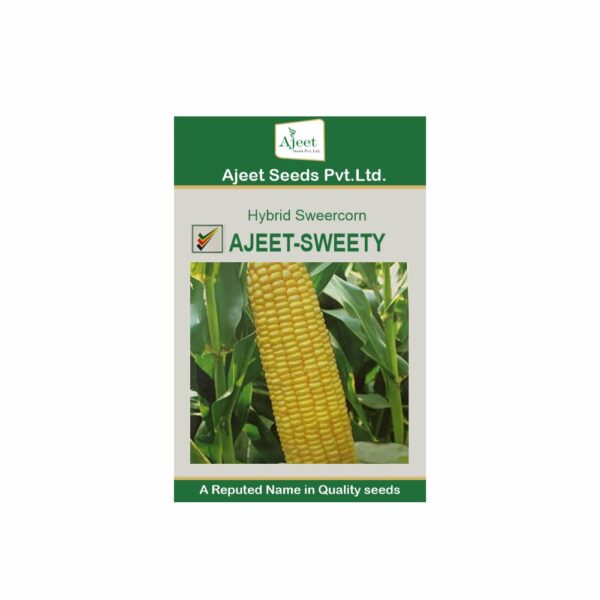 AJEET HYBRID SWEET CORN SWEETY (500 GM)