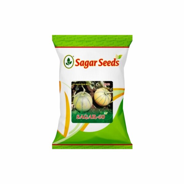 Sagar-60 F-1 Hybrid Muskmelon Seeds (50 gm)