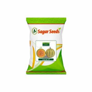 Sagar-70 F-1 Hybrid Muskmelon Seeds (50 gm)