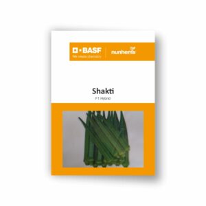 BASF Nunhems okra Shakti (3500 Seeds)