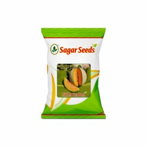 Sagar Shayara F-1 Hybrid Muskmelon Seeds (25 gm)