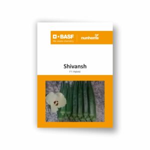BASF Nunhems okra Shivansh (3500 Seeds)