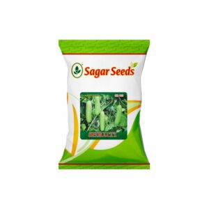 Sagar SHRUTI (WHITE) F-1 Hybrid Cucumber Seeds (25 gm)