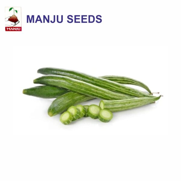 manju Snake Gourd seeds (1 KG)(PACK OF 10)