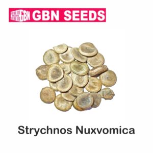 GBN strychnos nuxvomica (Kuchla) seeds (1 KG)(pack of 10)