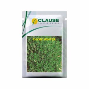 Clause THYME WINTER (10 GM)