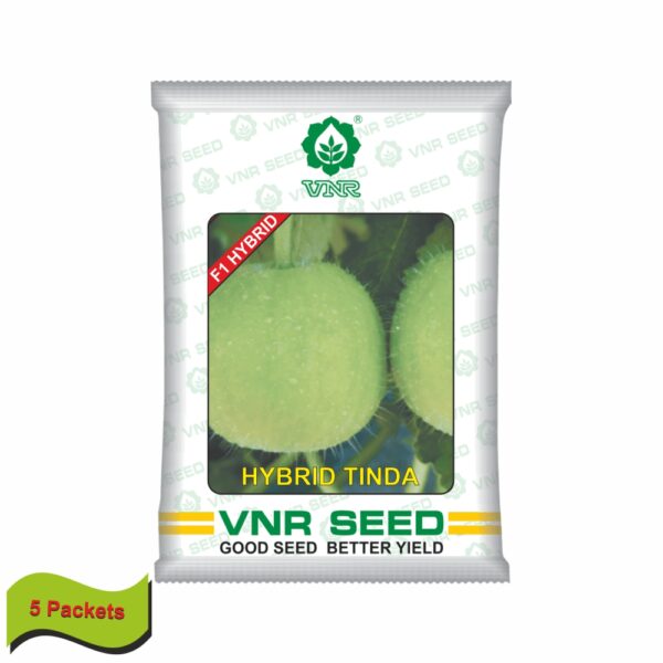 VNR Hybrid Tinda (25 GM)  (5 packets)