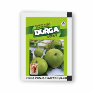 DURGA TINDA S-48 (PUNJAB SAFEED)(kitchen garden packet) (Minimum 10 Packets)