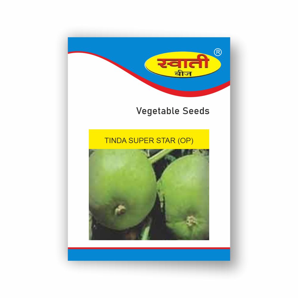 SWATI TINDA SUPER STAR (OP) (250 GM)