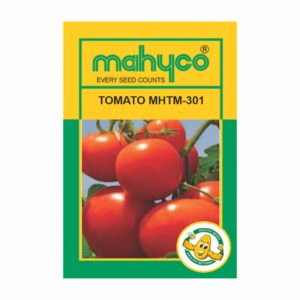 mahyco TOMATO MHTM -301 10 GM