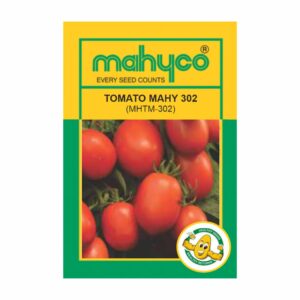 mahyco TOMATO MAHY 302 (MHTM-302) 10GM + 5GM Free