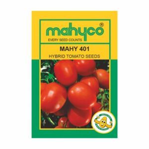 mahyco TOMATO HY.MAHY 401(MHTM-401) 10 GM