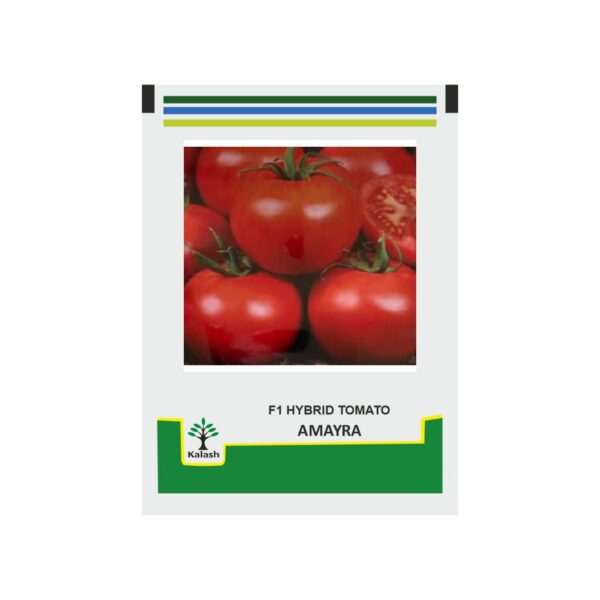 KALASH TOMATO AMAYRA 1335 (10 GM)