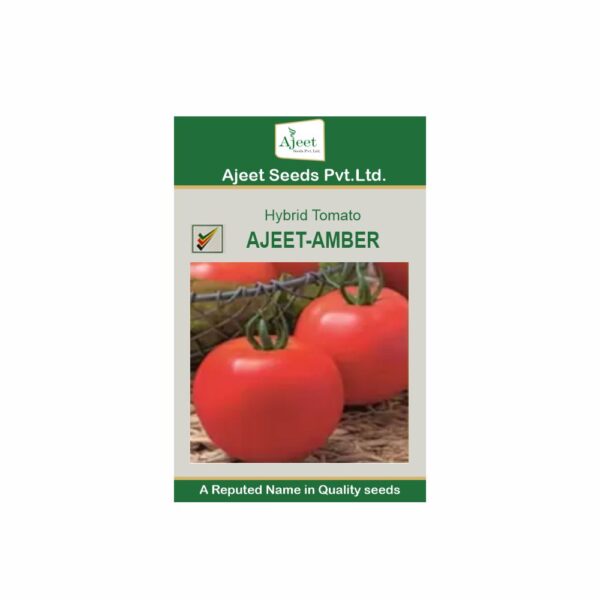 AJEET HYBRID TOMATO AMBER (10 GM)