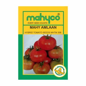 mahyco TOMATO MAHY AMLAAN (MHTM -306)10 GM