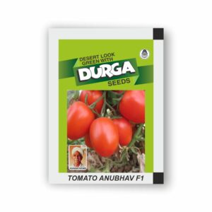 DURGA hybrid TOMATO ANUBHAV F1 (kitchen garden packet) (Minimum 10 Packets)