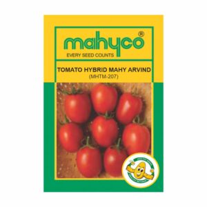 mahyco TOMATO HY. MAHY ARVIND (MHTM-207)  10 GM