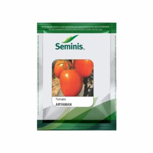 SEMINIS / MONSANTO TOMATO ARYAMAN (3500 SEEDS)