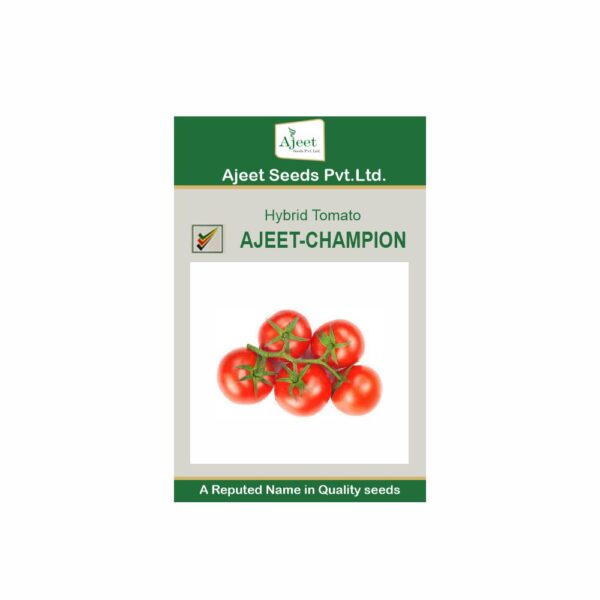 AJEET HYBRID TOMATO CHAMPION (10 GM)