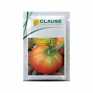 CLAUSE TOMATO DARSH F1 (10 GM)