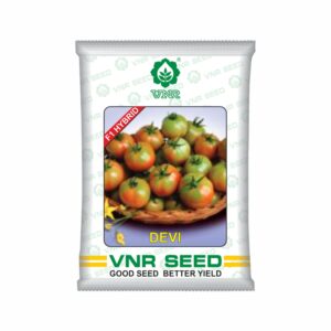 VNR Tomato Devi hybrid (10 gm)