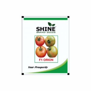 SHINE F1 ORION TOMATO SEEDS (10 gm)
