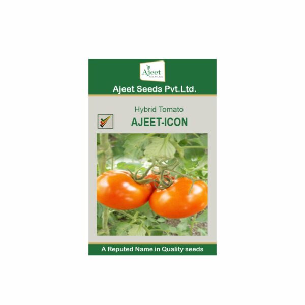 AJEET HYBRID TOMATO ICON (10 GM)