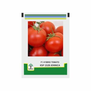KALASH Tomato KSP 1528 Jennica F1 (10 GM)