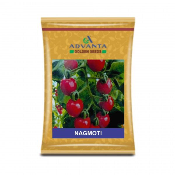 ADVANTA/UPL TOMATO NAGMOTI (10 GM)