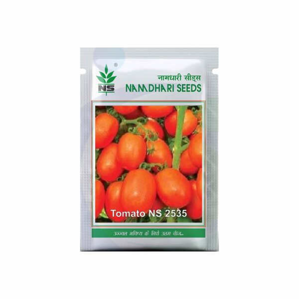 Namdhari TOMATO NS 2535 (10GM)