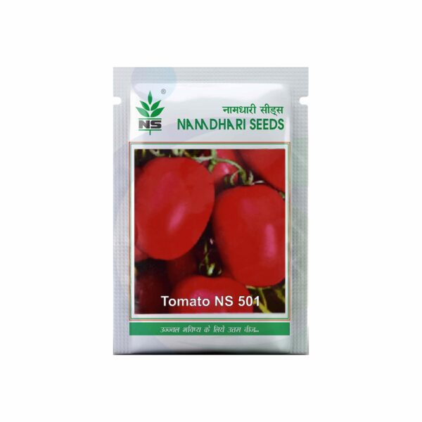 Namdhari TOMATO  NS 501 (10 GM)