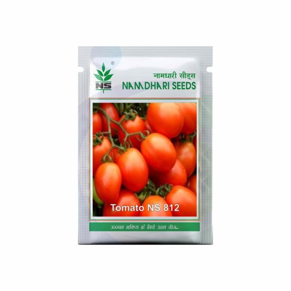 Namdhari TOMATO NS 812 (10GM)