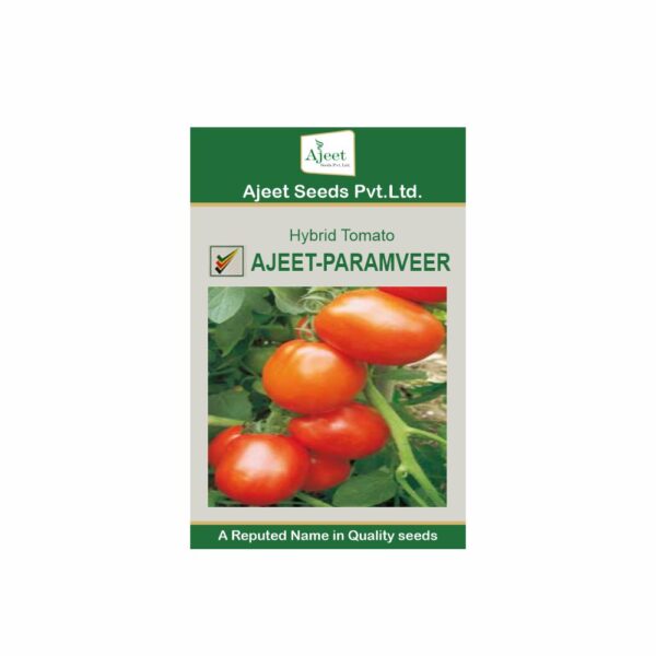 AJEET HYBRID TOMATO PARMVEER (10 GM)