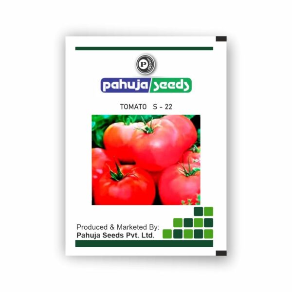PAHUJA TOMATO S-22 - PAHUAJ - 50GMS