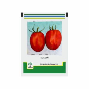 KALASH Tomato KSP 1154 Sultan F1 (10 GM)