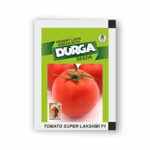 DURGA hybrid TOMATO SUPER LAKSHMI F1 (kitchen garden packet) (Minimum 10 Packets)