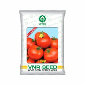 VNR Tomato uma hybrid (10 gm)